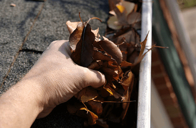 gutter cleaning